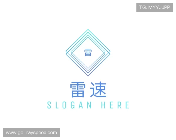 认识雷速子公司